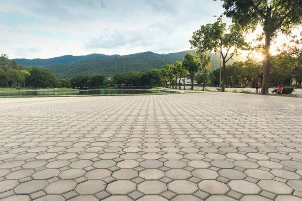 Best Concrete Paver Driveway  in Carol Stream, IL