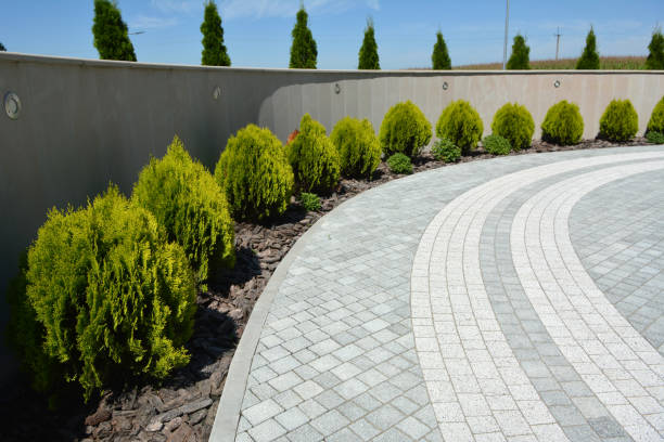 Best Driveway Repair Near Me  in Carol Stream, IL